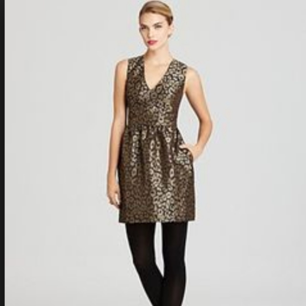 Tegan Kitty Jacquard V-Neck Dress